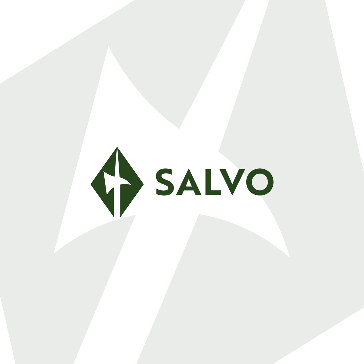 SALVO - Specialist in historisch zwaardvechten - Aanbieder van de uniek actieve workshop zwaardvechten met middeleeuws langzwaard