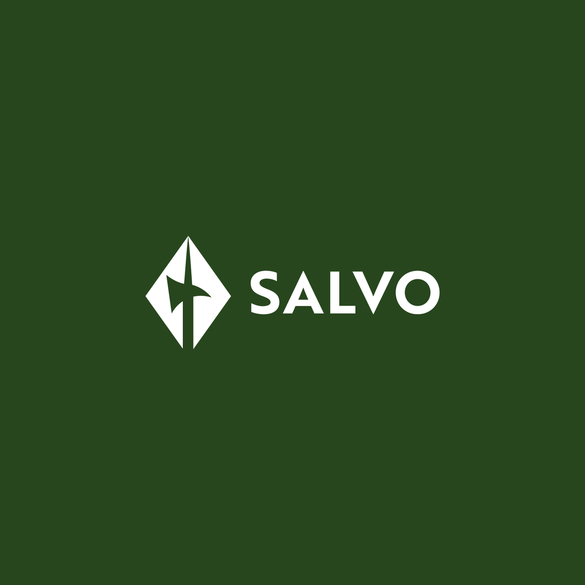 SALVO - Specialist in historisch zwaardvechten - Aanbieder van de uniek actieve workshop zwaardvechten met middeleeuws langzwaard
